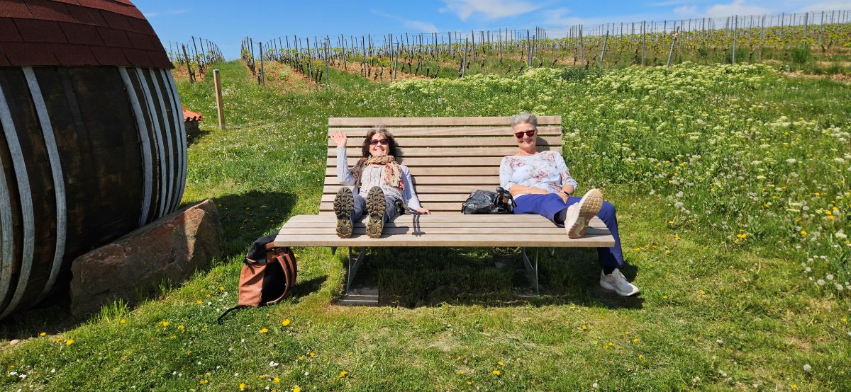 26.04.2026 Panoramarunde Lörzweiler – Nackenheim